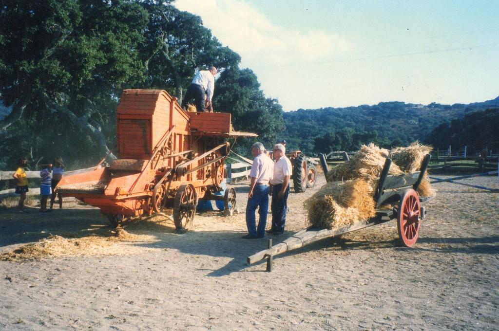 Agriturismo Il Muto Di Gallura Aggius Extérieur photo