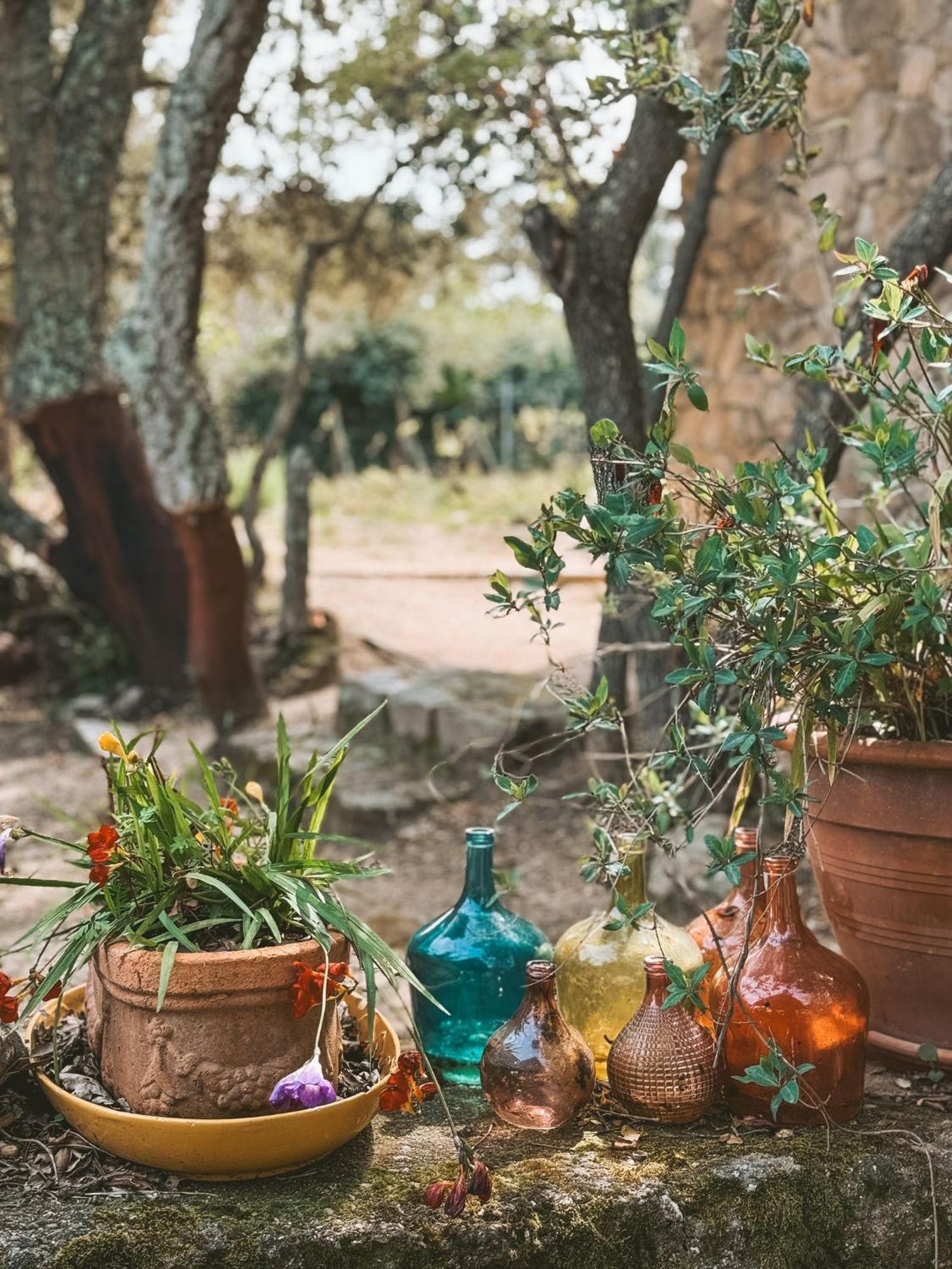Agriturismo Il Muto Di Gallura Aggius Extérieur photo