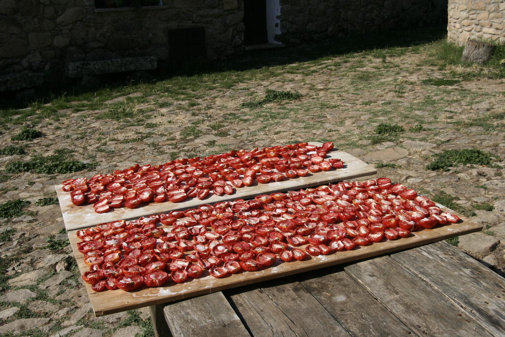 Agriturismo Il Muto Di Gallura Aggius Extérieur photo
