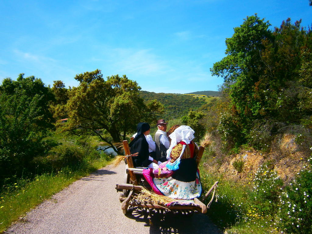 Agriturismo Il Muto Di Gallura Aggius Extérieur photo