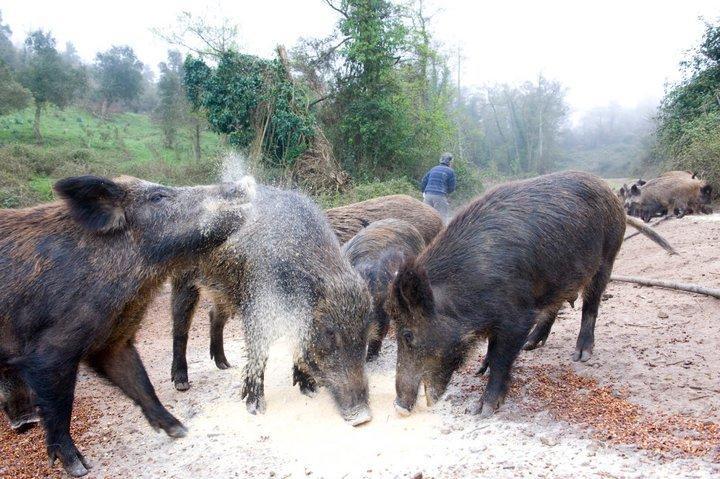Agriturismo Il Muto Di Gallura Aggius Extérieur photo