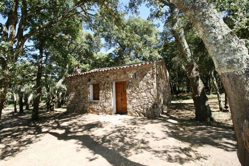 Agriturismo Il Muto Di Gallura Aggius Chambre photo