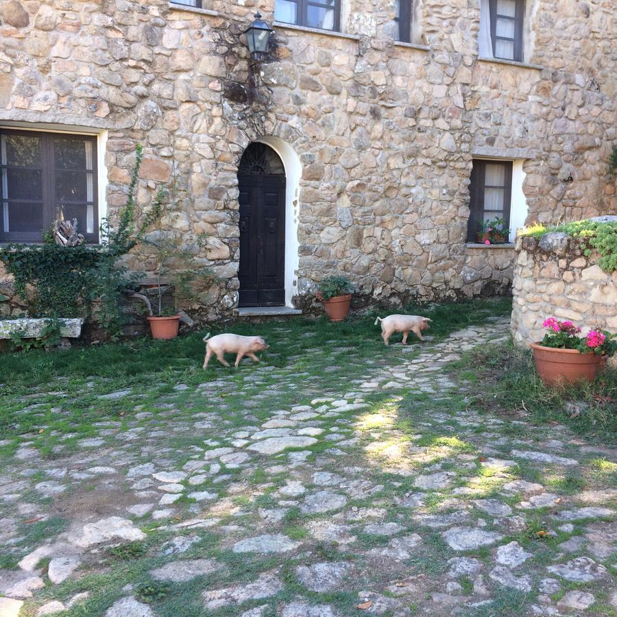 Agriturismo Il Muto Di Gallura Aggius Extérieur photo