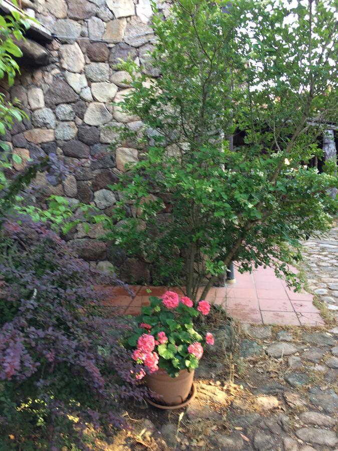 Agriturismo Il Muto Di Gallura Aggius Extérieur photo